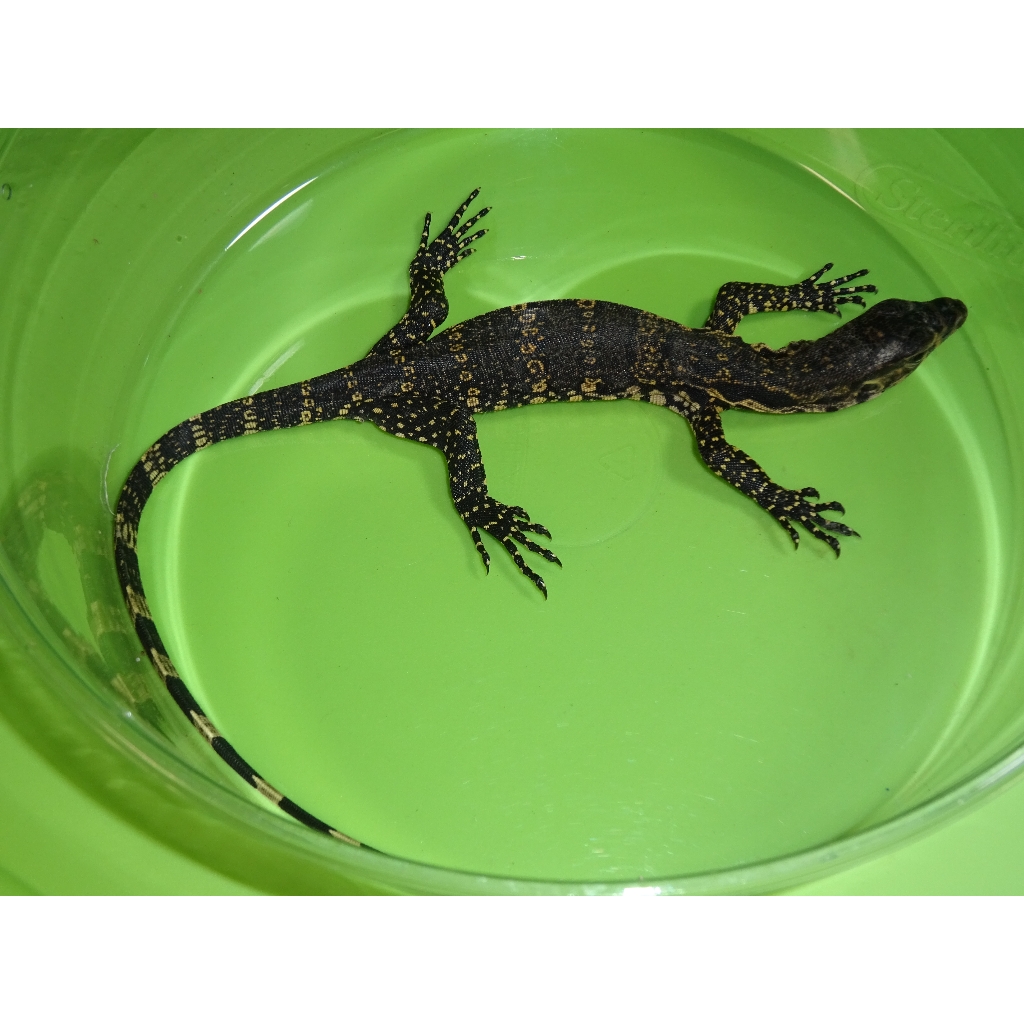 baby water monitor for sale
